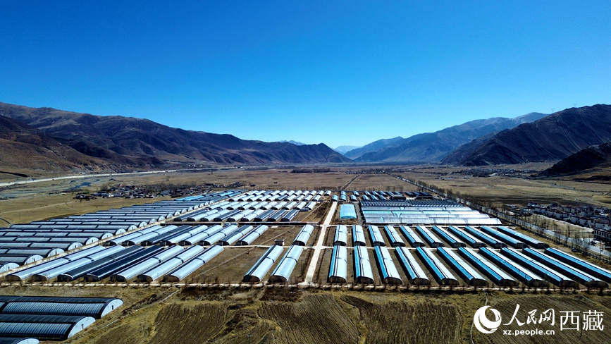 Foto menunjukkan sebuah taman demonstrasi pertanian moden di kaunti Maizhokunggar, Lhasa, wilayah Tibet di barat daya China. (People's Daily Online/Wu Yuren)