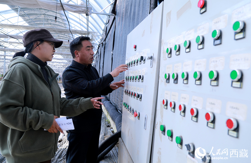 Seorang juruteknik menyesuaikan sistem kawalan pintar di dalam rumah hijau di sebuah taman demonstrasi pertanian moden di kaunti Maizhokunggar, Lhasa, wilayah Tibet di barat daya China. (People's Daily Online/Wu Yuren)