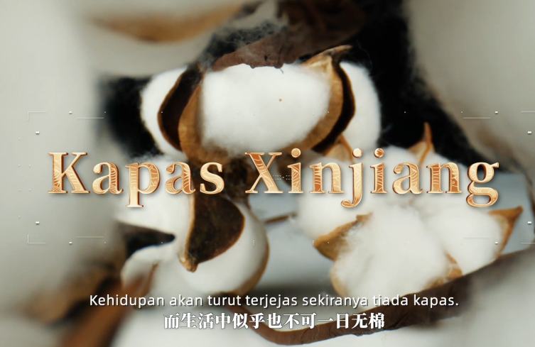 Pertanian Pintar Bantu Kapas Xinjiang Mekar