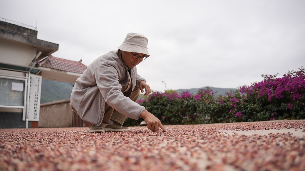 Ning Si menghasilkan lukisan menggunakan isi jagung merah di kampung Xuanhe, kaunti autonomi Yi, Hani dan Lahu Zhenyuan, bandar Pu’er, provinsi Yunnan, barat daya China. (Foto ihsan pusat media bersepadu kaunti autonomi Yi, Hani dan Lahu Zhenyuan)