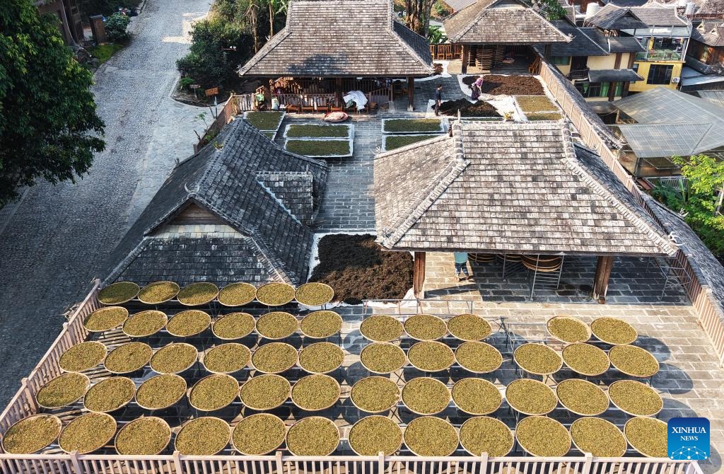 Foto dron bertarikh 26 Mac 2026 menunjukkan daun teh sedang dikeringkan di kampung Jingmai, kaunti Lancang, bandar Pu’er di provinsi Yunnan, barat daya China. (Liang Zhiqiang/Xinhua)