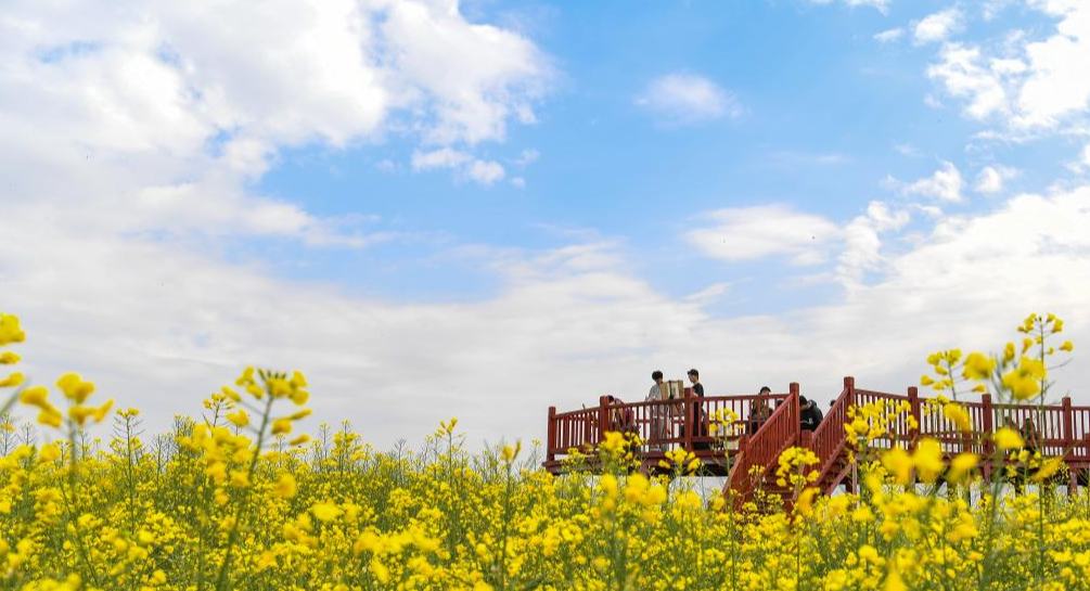 Hanzhong, Shaanxi: Keindahan Alam Memacu Ekonomi Bunga