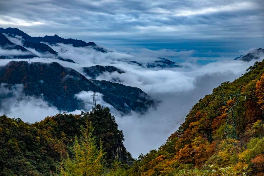 Foto bertarikh 27 Oktober 2019 ini menunjukkan pemandangan musim gugur di Taman Negara Shennongjia di provinsi Hubei, tengah China. (Xinhua/Du Huaju)