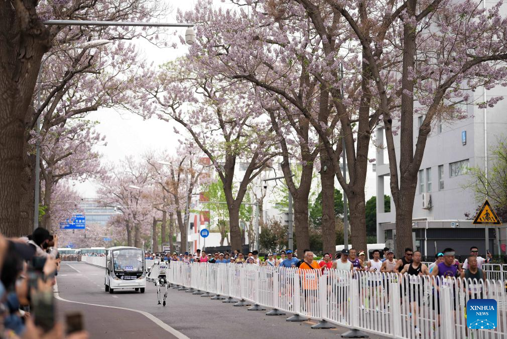 Robot manusia "Tiangong Ultra-2025" yang mewakili Pasukan Tianyi dalam kategori berautonomi, berlari pada separuh maraton E-Town Beijing dan separuh maraton robot manusia di Kawasan Pembangunan Ekonomi-Teknologi Beijing di tenggara Beijing, China, 19 April 2026. (Xinhua/Luo Yuan)