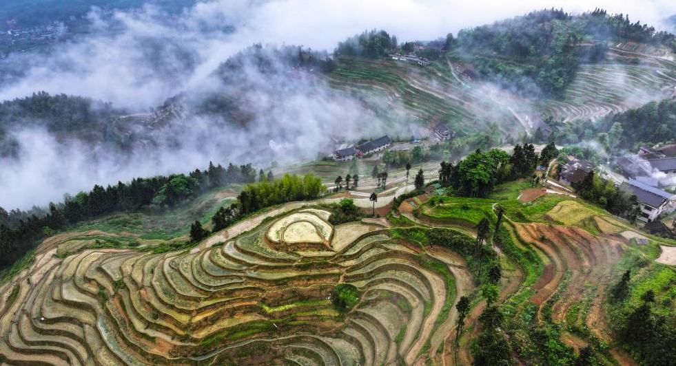 Teres Ziquejie, Hunan