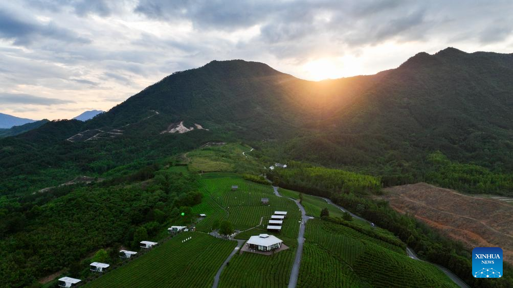 Foto dron bertarikh 15 Mei 2026 menunjukkan pemandangan kebun teh di kampung Luxi, kaunti Jingde, bandar Xuancheng di provinsi Anhui, timur China. (Xinhua/Zhou Mu)