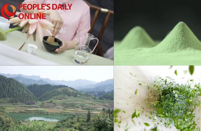Di Tongren, Matcha Menjadi Cara Hidup