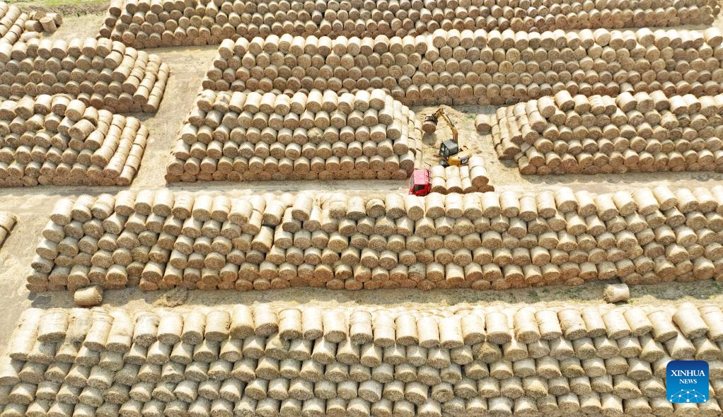 Foto dron bertarikh 10 Jun 2026 ini menunjukkan petani mengisih jerami gandum yang dikitar semula di kaunti Tancheng, bandar Linyi, provinsi Shandong, timur China. (Xinhua/Zhang Chunlei)