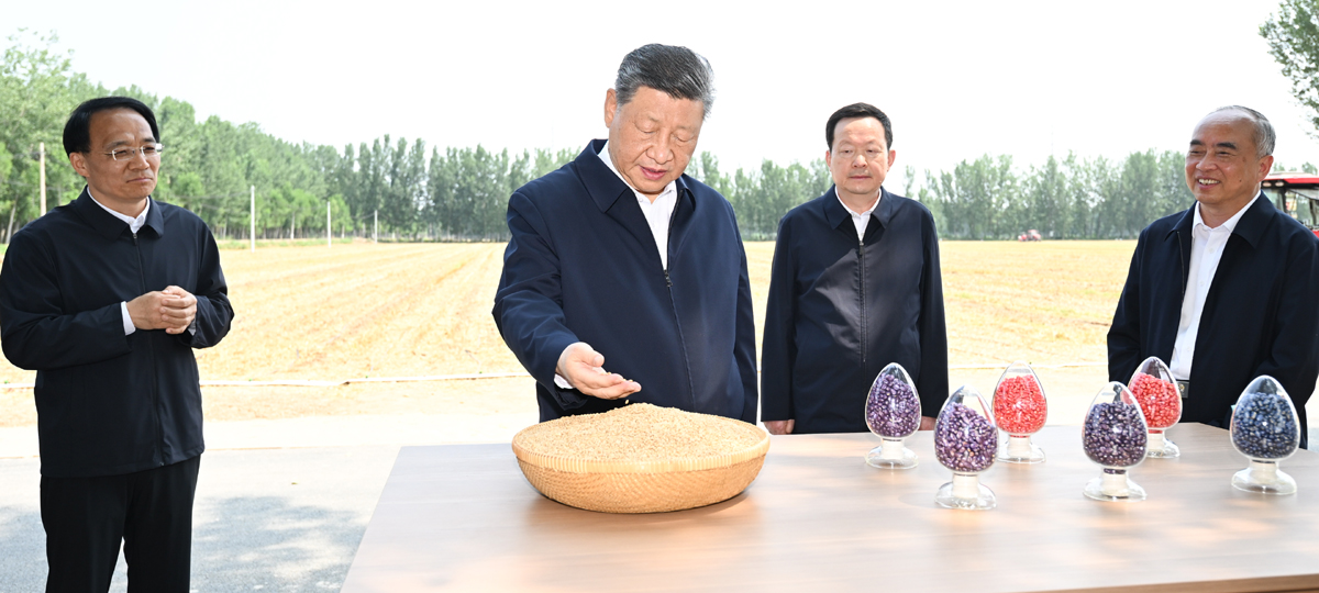 Xi Turun Padang Tinjau Perkembangan Pertanian di Dezhou