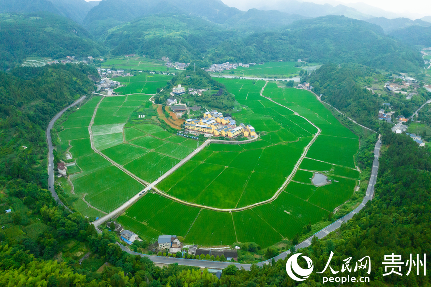 Cengong, Guizhou: Sawah Menghijau, Damai Mata Memandang