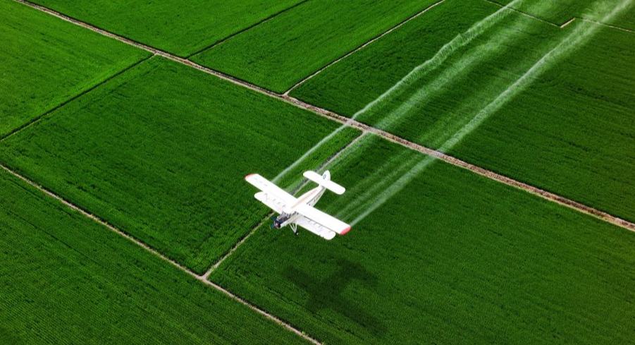 Pesawat, Dron, Lindung Tanaman dari Udara di Heilongjiang