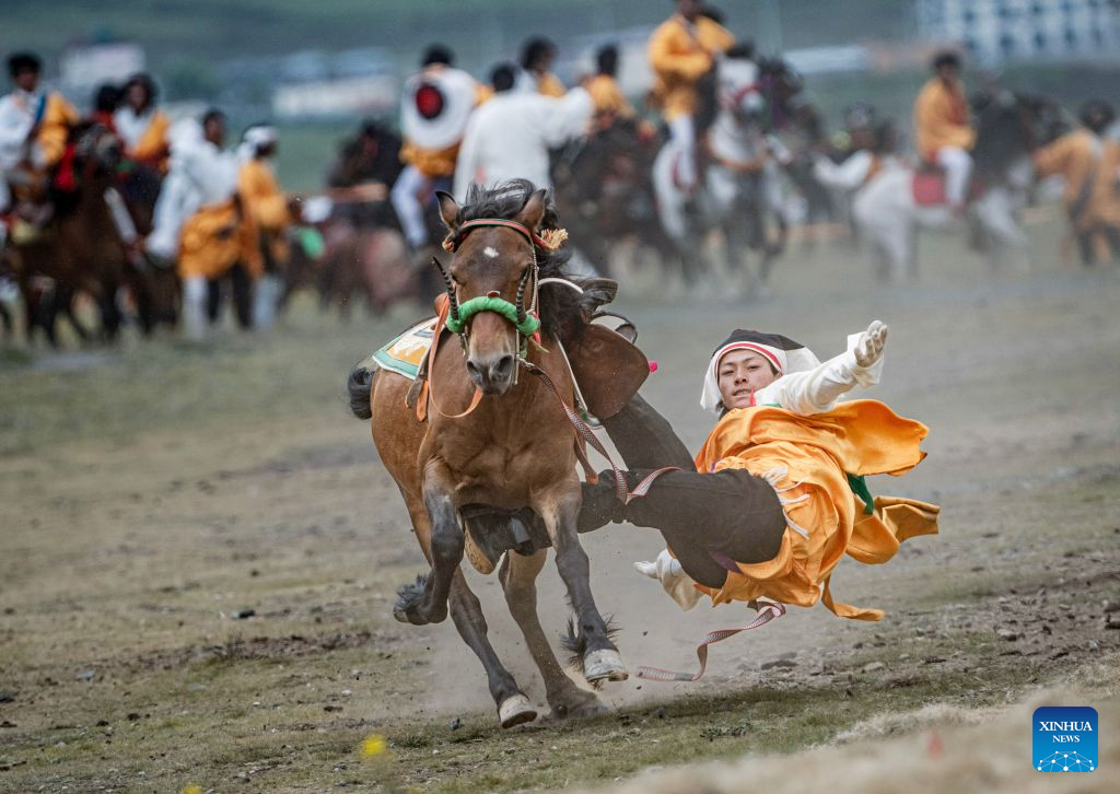 Seorang gembala menonjolkan aksi lasak menunggang kuda pada satu acara persembahan berkuda yang menyerlahkan kemahiran tradisional, di kaunti Litang, provinsi Sichuan, barat daya China, 31 Julai 2026. (Foto oleh Xiang Wenjun/Xinhua)