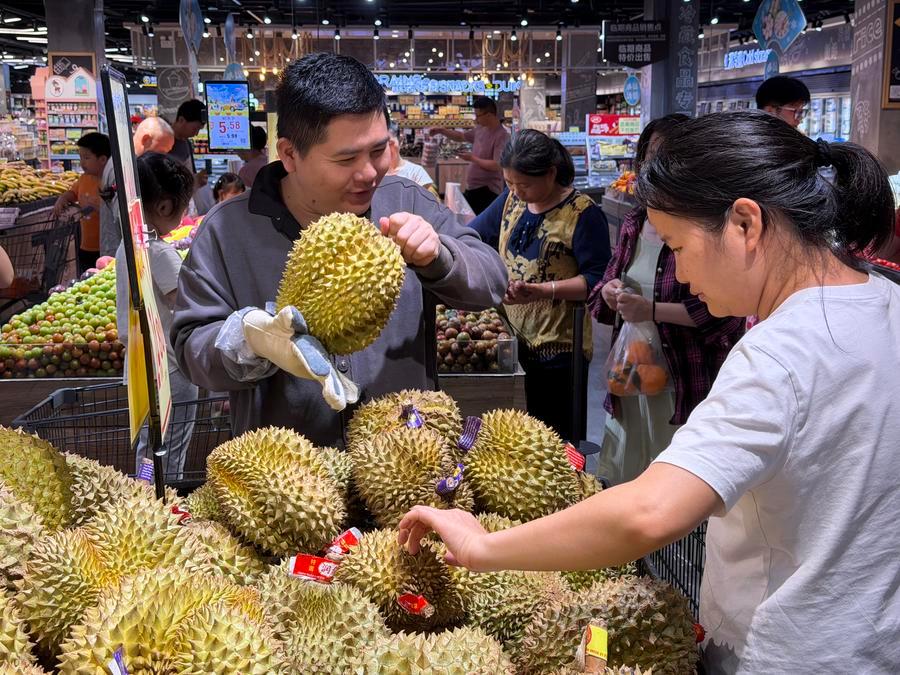 Seorang pelanggan memilih durian di sebuah pasar raya di Nanning, wilayah autonomi Zhuang Guangxi, selatan China, 2 Mei 2026. (Xinhua/Zhao Huan)