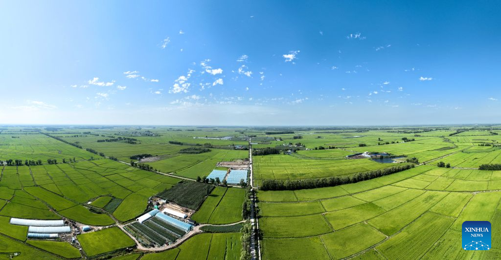 Foto panorama yang diambil pada 20 Ogos 2026 ini memaparkan pemandangan sawah di pekan Haolibao, wilayah autonomi Mongolia Dalam, utara China. (Xinhua/Bei He)