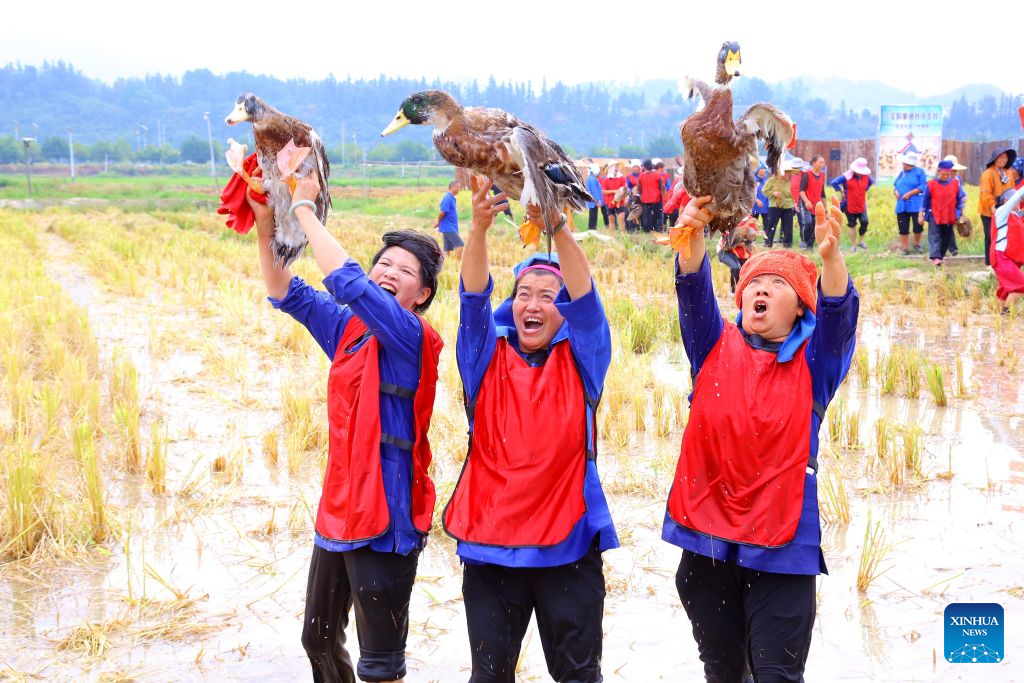 Penduduk menunjukkan itik yang ditangkap pada pertandingan bertemakan pertanian di kaunti Rongjiang, provinsi Guizhou, barat daya China, 29 September 2026. Pelbagai aktiviti dianjurkan di merata negara sempena Hari Kebangsaan yang menjelang tiba. (Yang Chengli/Xinhua)