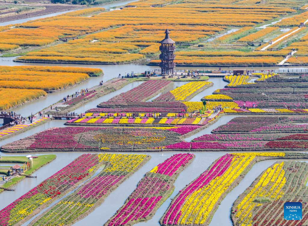 Foto dron ini menunjukkan pelancong melihat bunga di sebuah tempat peranginan di bandar Xinghua, provinsi Jiangsu, timur China, 7 Oktober 2026. (Foto oleh Zhou Shegen/Xinhua)
