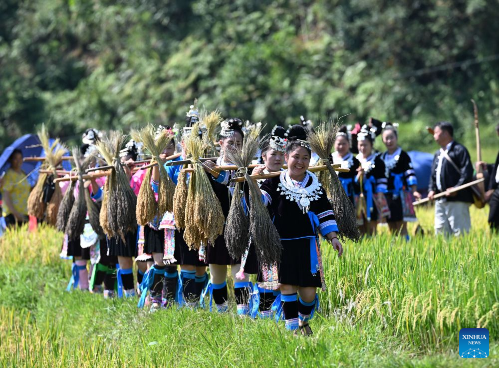 Penduduk kampung berjalan membawa padi pulut yang dituai di kampung Liangzhai, kaunti autonomi Miao Rongshui, wilayah autonomi Zhuang Guangxi, selatan China, 20 Oktober 2026. (Xinhua/Huang Xiaobang)