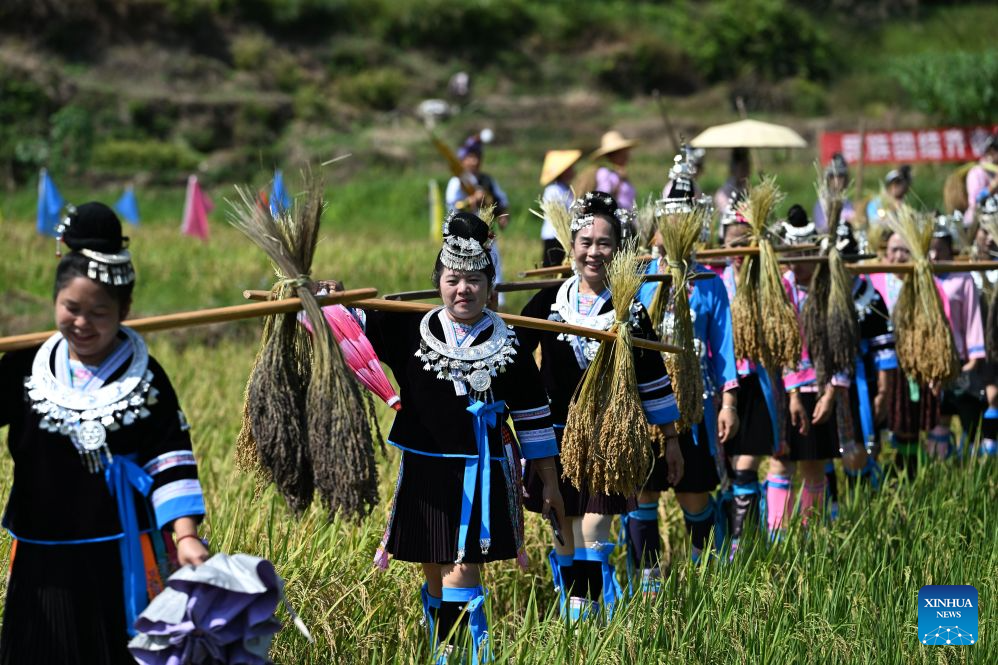 Penduduk kampung berjalan membawa padi pulut yang dituai di kampung Liangzhai, kaunti autonomi Miao Rongshui, wilayah autonomi Zhuang Guangxi, selatan China, 20 Oktober 2026. (Xinhua/Huang Xiaobang)