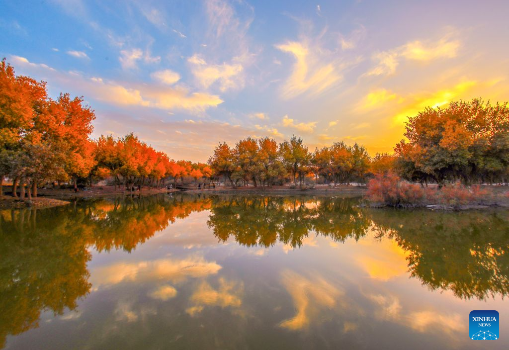 Foto bertarikh 20 Oktober 2026 ini memaparkan pemandangan sebuah kawasan peranginan yang terkenal dengan hutan poplar di kaunti Lop, Hotan, wilayah autonomi Uygur Xinjiang, barat laut China. (Foto oleh Memeteli Enwaer/Xinhua)
