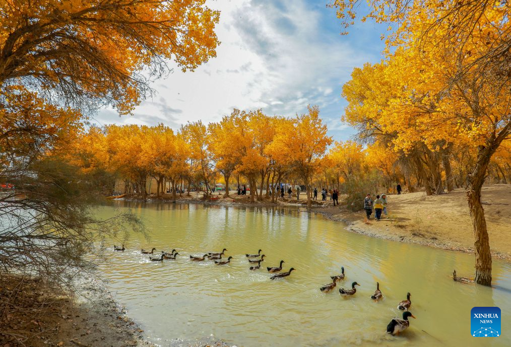 Foto bertarikh 20 Oktober 2026 ini memaparkan pemandangan sebuah kawasan peranginan yang terkenal dengan hutan poplar di kaunti Lop, Hotan, wilayah autonomi Uygur Xinjiang, barat laut China. (Foto oleh Memeteli Enwaer/Xinhua)