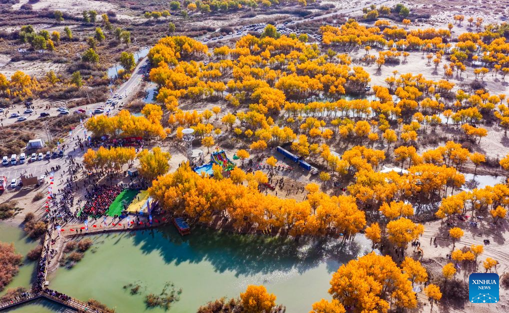 Foto bertarikh 18 Oktober 2026 ini memaparkan pelancong melawat sebuah kawasan peranginan yang terkenal dengan hutan poplar di kaunti Lop, Hotan, wilayah autonomi Uygur Xinjiang, barat laut China. (Foto oleh Memeteli Enwaer/Xinhua)