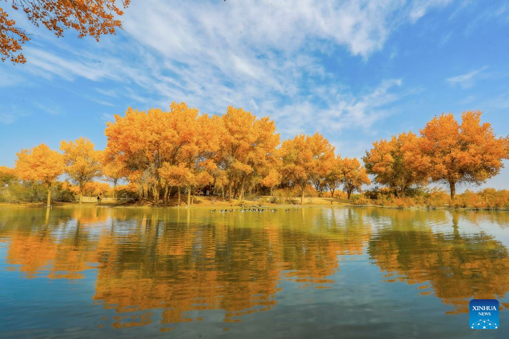 Foto bertarikh 20 Oktober 2026 ini memaparkan pemandangan sebuah kawasan peranginan yang terkenal dengan hutan poplar di kaunti Lop, Hotan, wilayah autonomi Uygur Xinjiang, barat laut China. (Foto oleh Memeteli Enwaer/Xinhua)