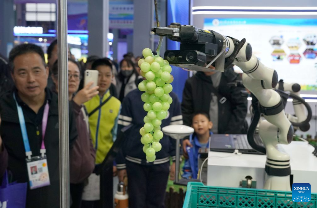 Pelawat melihat sebuah robot mendemonstrasikan keupayaan memetik anggur pada Pameran Teknologi Tinggi Pertanian Yangling ke-33 di provinsi Shaanxi, barat laut China, 25 Oktober 2026. (Xinhua/Shao Rui)