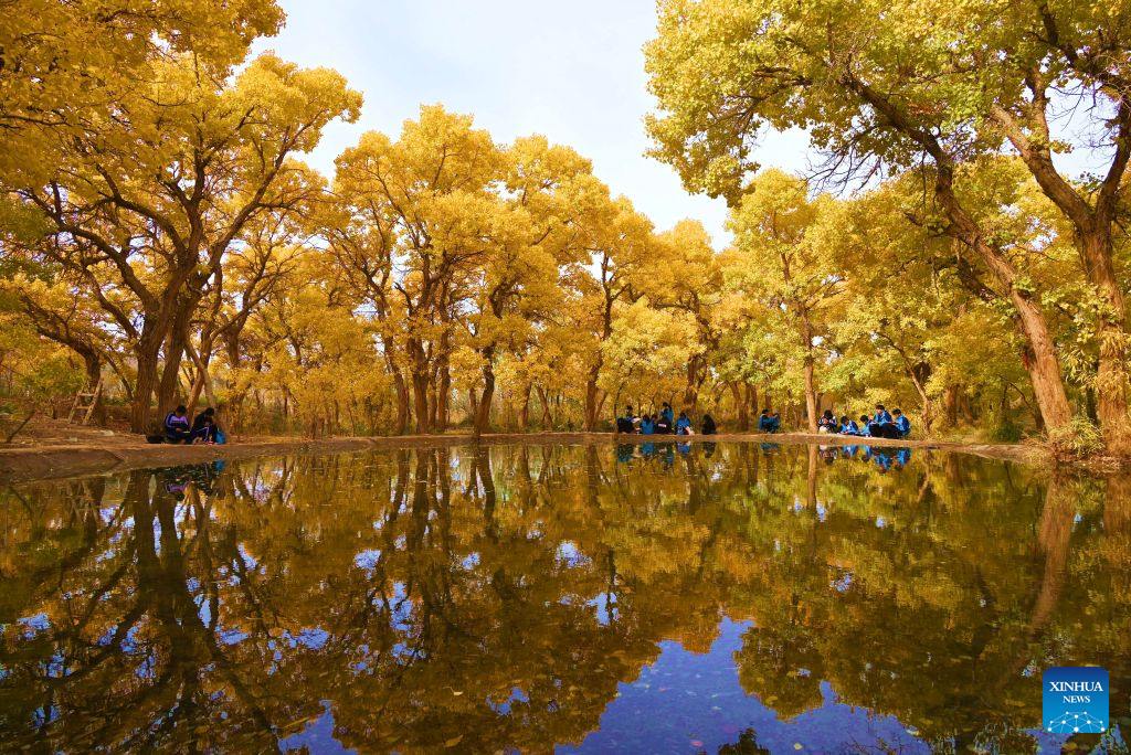 Pelancong menikmati pemandangan hutan poplar di pekan Mogao, bandar Dunhuang, provinsi Gansu, barat laut China, 23 Oktober 2026. (Foto oleh Zhang Xiaoliang/Xinhua)