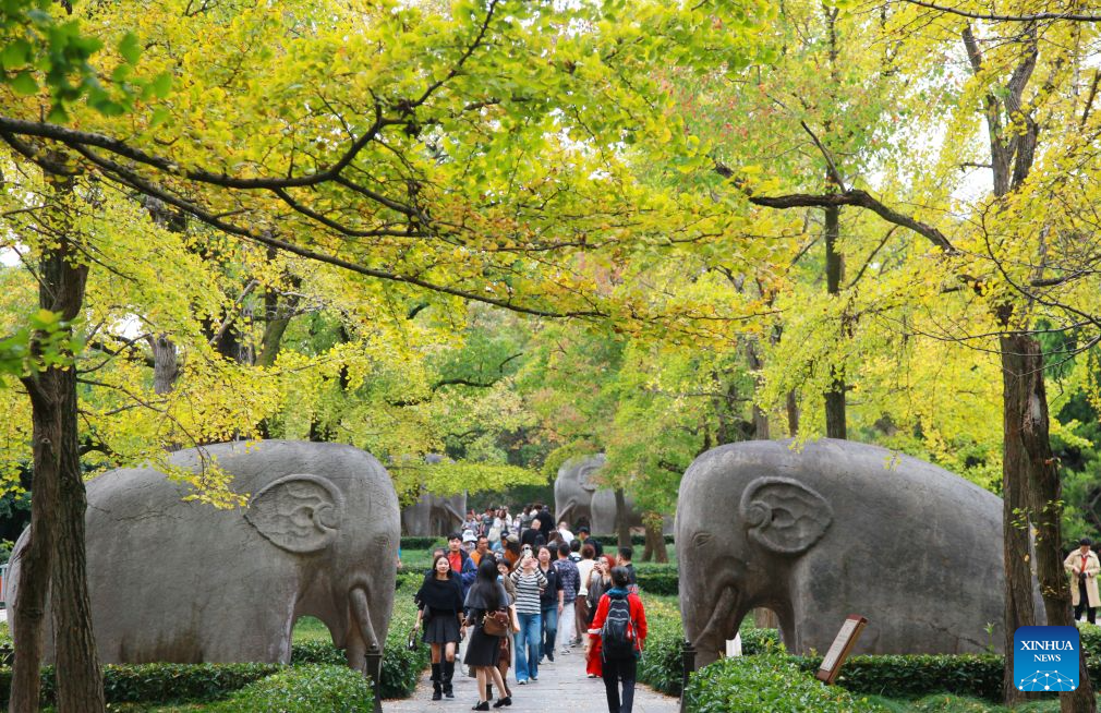 Pelancong melawat Makam Xiaoling, tempat persemadian Maharaja Zhu Yuanzhang pada Dinasti Ming (1368-1644), di Nanjing, provinsi Jiangsu, timur China, 24 Oktober 2026. (Foto oleh Liu Jianhua/Xinhua)
