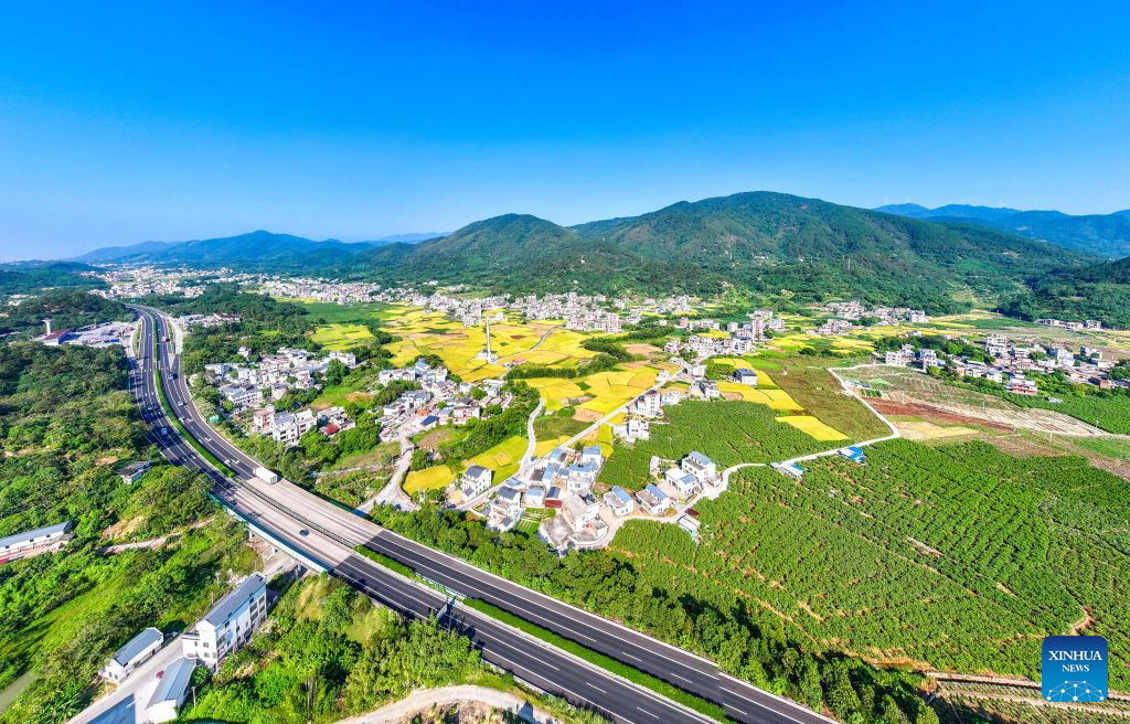 Foto dron bertarikh 24 Oktober 2026 ini menunjukkan pemandangan musim luruh di kawasan desa sekitar bandar Beiliu, wilayah autonomi Zhuang Guangxi, selatan China. (Foto oleh He Huawen/Xinhua)