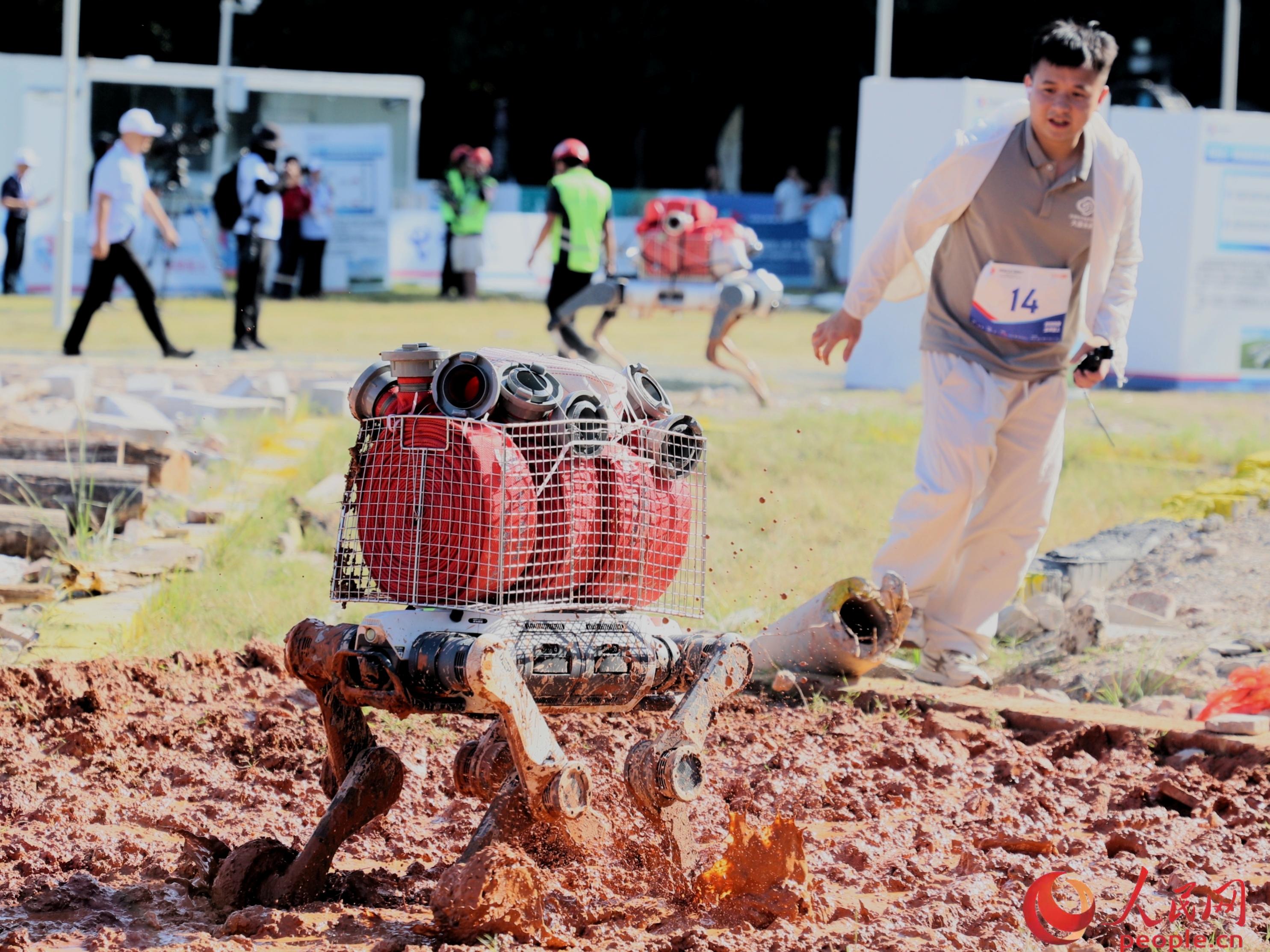 Seorang peserta memerhatikan anjing robot mencari jalan melalui laluan berlumpur semasa pusingan akhir Pertandingan Robot Penyelamat Kecemasan Keselamatan Negara 2026 di Guangzhou, provinsi Guangdong, selatan China. (People's Daily Online/Yang Jiannan)