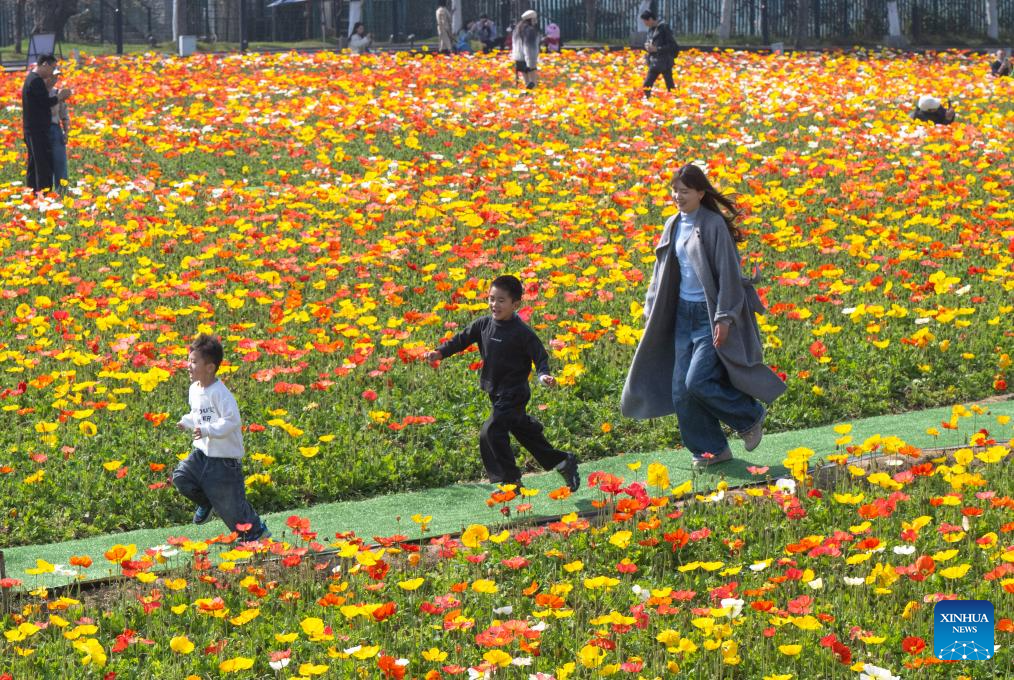 Orang ramai mengunjungi sebuah taman di Wuhan, provinsi Hubei, tengah China, 14 Mac 2026. (Xinhua/Xiao Yijiu)