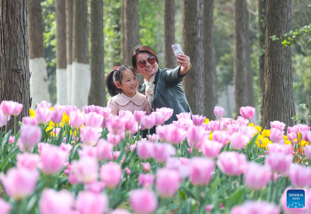 Orang menikmati cuti musim bunga di sebuah taman ekspo pertanian di Jurong, provinsi Jiangsu, timur China, 1 April 2026. (Zhong Xueman/Xinhua)