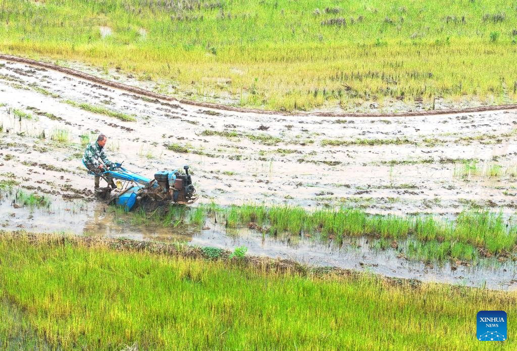 Foto dron bertarikh 7 April 2026 menunjukkan seorang penduduk kampung sedang membajak sawah di pekan Shitan, kaunti Hengdong, bandar Hengyang, provinsi Hunan, tengah China. (Cao Zhengping/Xinhua)