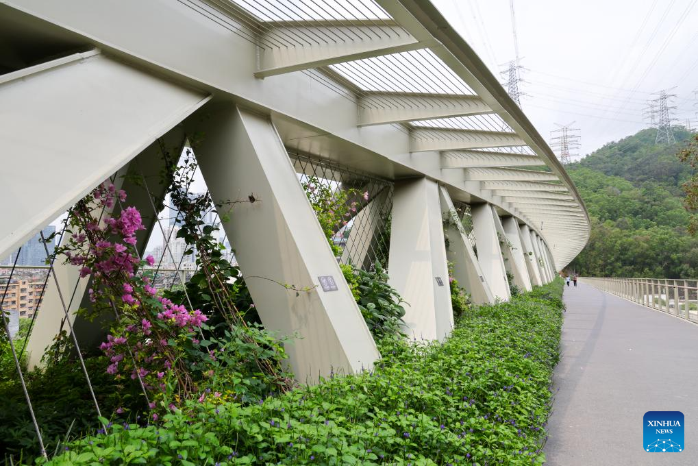 Foto pada 21 April 2026 ini menunjukkan pemandangan Jambatan No. 2 Denai Kunpeng dengan laluan pejalan kaki (kanan) dan laluan haiwan liar (kiri) di Shenzhen, provinsi Guangdong, selatan China. (Xinhua/Liang Xu)