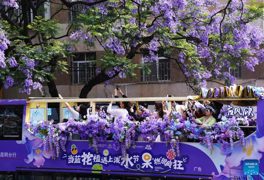 Pelancong menaiki bas persiaran untuk menghayati kecantikan bunga Jacaranda di Kunming, provinsi Yunnan, barat daya China, 26 April 2026. (by Liang Zhiqiang/Xinhua)