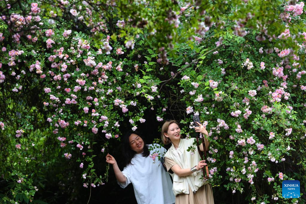 Pelancong berswafoto bersama bunga di sebuah taman tanah basah negara di daerah Qianjiang, bandar Chongqing, barat daya China, 27 April 2026. (Yang Min/Xinhua)