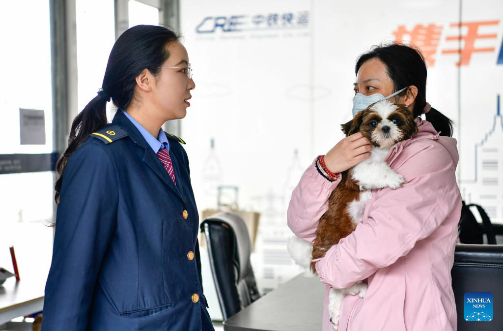 Seorang penumpang bertanya tentang khidmat konsainan haiwan kesayangan di Stesen Kereta Api Utara Guiyang, provinsi Guizhou, barat daya China, 29 April 2026. (Xinhua/Yang Wenbin)