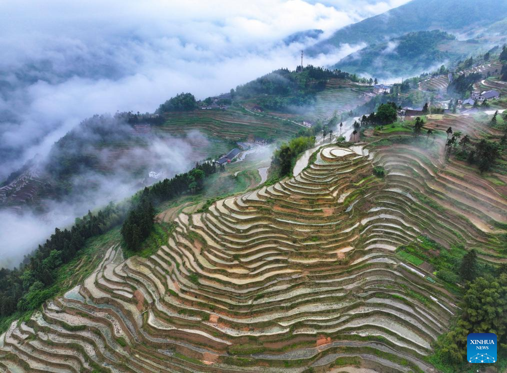 Foto dron bertarikh 13 Mei 2026 ini menunjukkan teres Ziquejie di kaunti Xinhua, provinsi Hunan, tengah China. (Foto oleh Zhou Xiuyuchun/Xinhua)