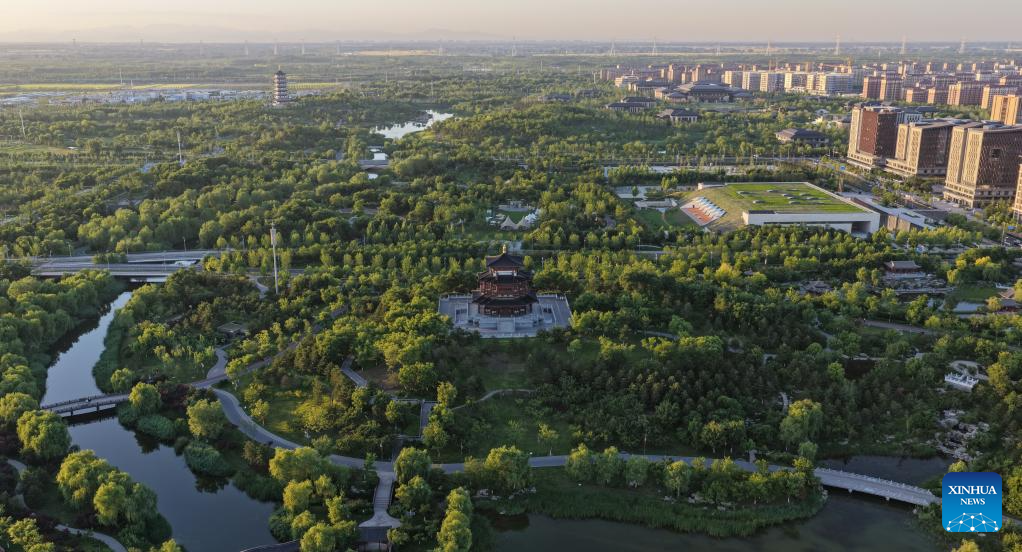 Foto dron yang diambil pada 28 Mei 2026 ini memaparkan pemandangan awal musim panas di daik Yannan di Tasik Baiyangdian, Kawasan Baharu Xiong’an, provinsi Hebei, utara China. (Xinhua/Fan Shihui)