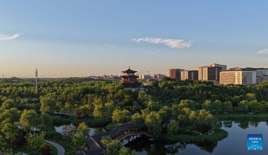 Foto dron yang diambil pada 28 Mei 2026 ini memaparkan pemandangan awal musim panas di daik Yannan di Tasik Baiyangdian, Kawasan Baharu Xiong’an, provinsi Hebei, utara China. (Xinhua/Fan Shihui)