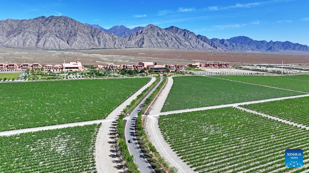 Foto dron bertarikh 9 Jun 2026 menunjukkan kompleks bertemakan wain Dulaan Holiday Wine Stroll di sebelah timur kaki Gunung Helan, wilayah autonomi Hui Ningxia, barat laut China. (Xinhua/Wang Peng)