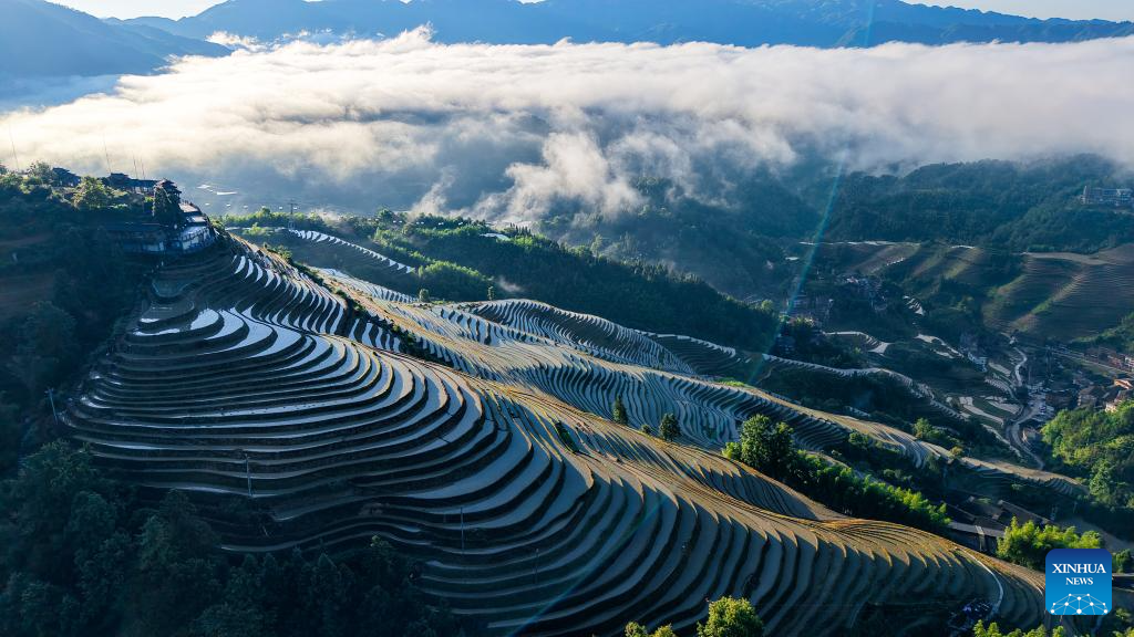 Foto dron bertarikh 14 Jun 2026 ini menunjukkan panorama ladang teres Longji di kaunti autonomi Ge Longsheng, bandar Guilin, wilayah autonomi Zhuang Guangxi, selatan China. (Foto oleh Pan Zhixiang/Xinhua)