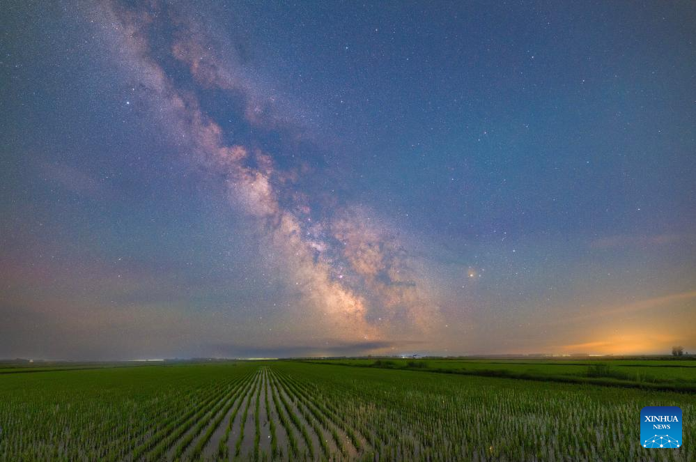 Foto komposit yang diambil pada 11 Jun 2026 ini menunjukkan Bima Sakti dan sawah padi di bandar Fujin, provinsi Heilongjiang, timur laut China. (Foto oleh Qu Yubao/Xinhua)