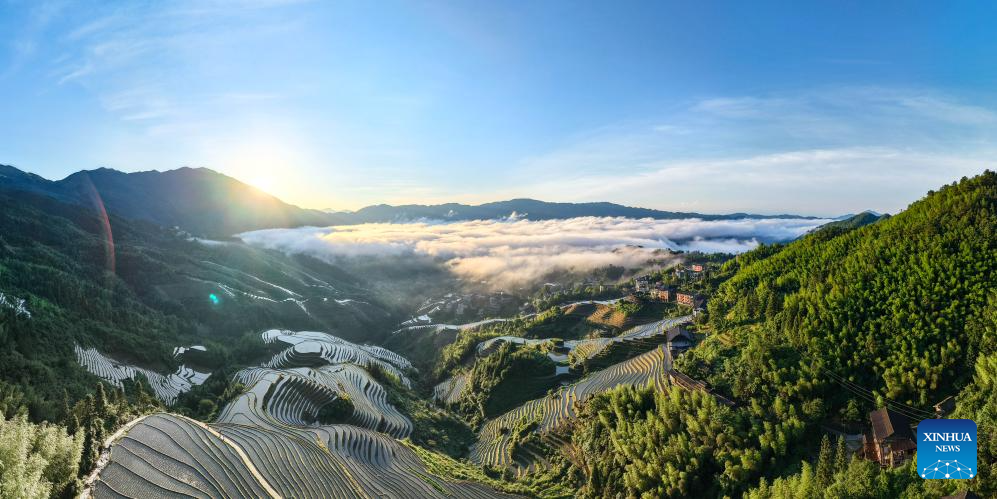 Foto dron bertarikh 14 Jun 2026 ini menunjukkan panorama ladang teres Longji di kaunti autonomi Ge Longsheng, bandar Guilin, wilayah autonomi Zhuang Guangxi, selatan China. (Foto oleh Pan Zhixiang/Xinhua)