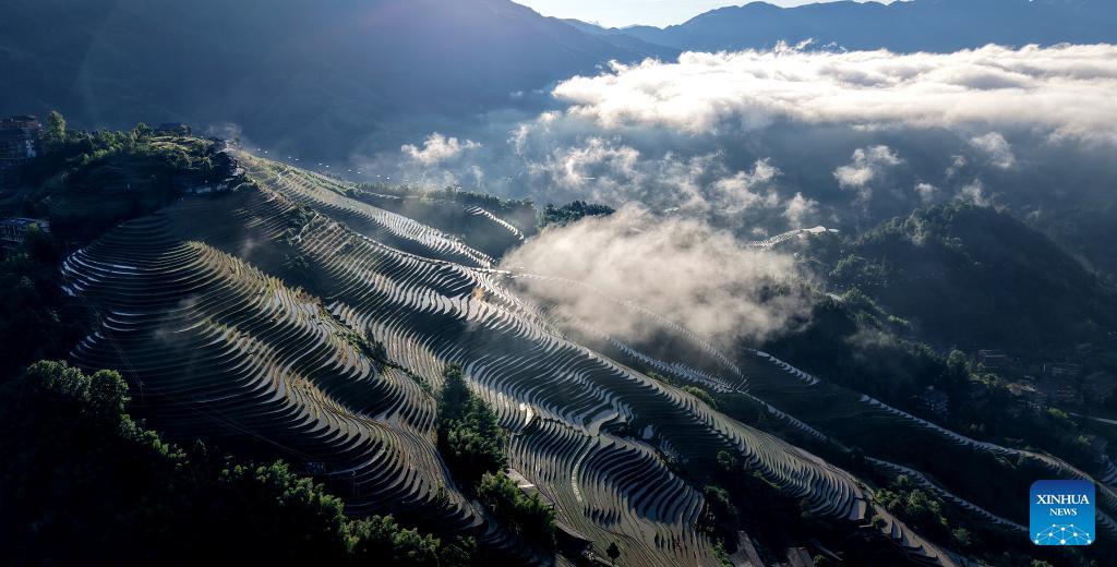 Foto dron bertarikh 14 Jun 2026 ini menunjukkan panorama ladang teres Longji di kaunti autonomi Ge Longsheng, bandar Guilin, wilayah autonomi Zhuang Guangxi, selatan China. (Foto oleh Pan Zhixiang/Xinhua)