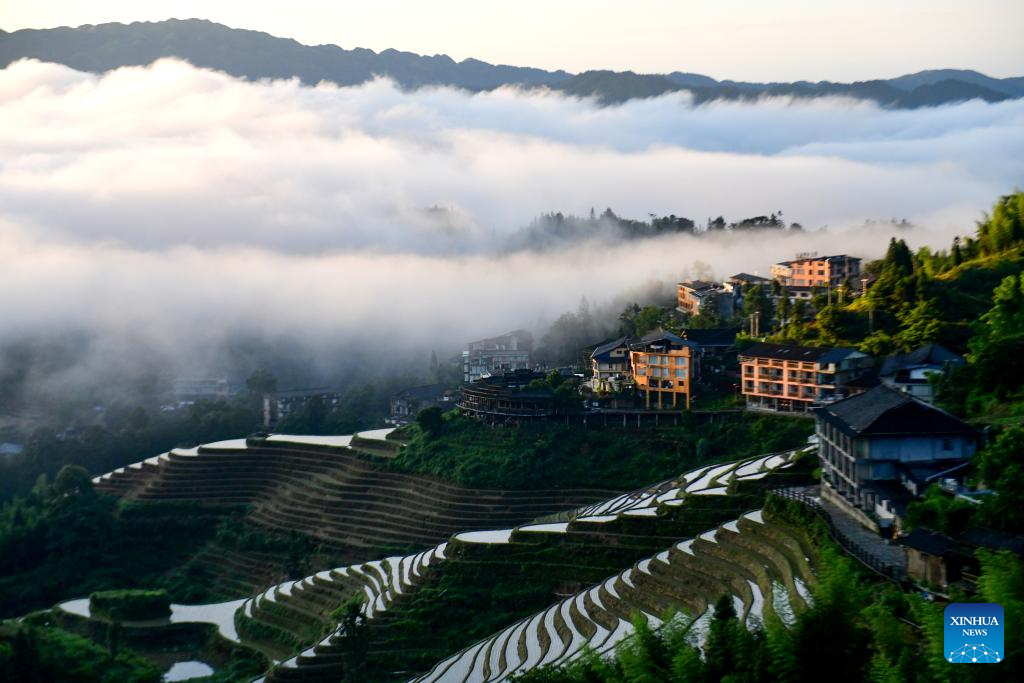 Foto dron bertarikh 14 Jun 2026 ini menunjukkan panorama ladang teres Longji di kaunti autonomi Ge Longsheng, bandar Guilin, wilayah autonomi Zhuang Guangxi, selatan China. (Foto oleh Pan Zhixiang/Xinhua)