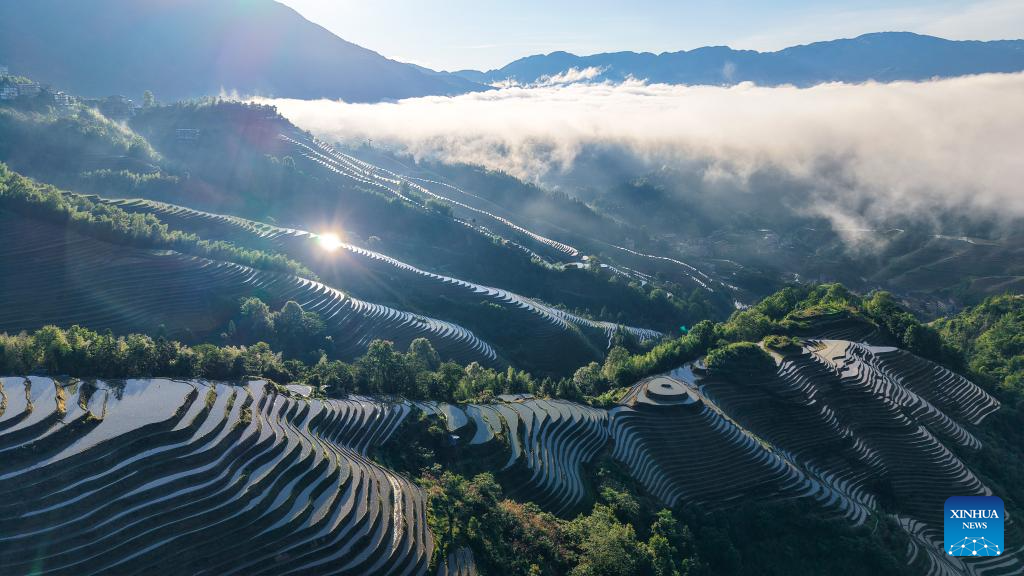 Foto dron bertarikh 14 Jun 2026 ini menunjukkan panorama ladang teres Longji di kaunti autonomi Ge Longsheng, bandar Guilin, wilayah autonomi Zhuang Guangxi, selatan China. (Foto oleh Pan Zhixiang/Xinhua)
